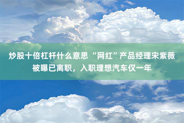 炒股十倍杠杆什么意思 “网红”产品经理宋紫薇被曝已离职，入职理想汽车仅一年