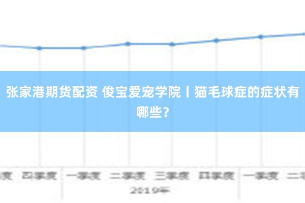 张家港期货配资 俊宝爱宠学院丨猫毛球症的症状有哪些？