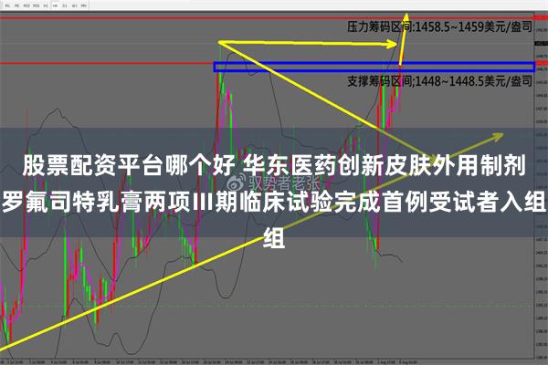 股票配资平台哪个好 华东医药创新皮肤外用制剂罗氟司特乳膏两项Ⅲ期临床试验完成首例受试者入组