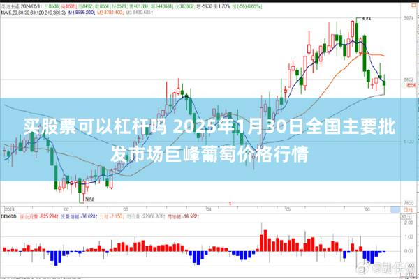 买股票可以杠杆吗 2025年1月30日全国主要批发市场巨峰葡萄价格行情