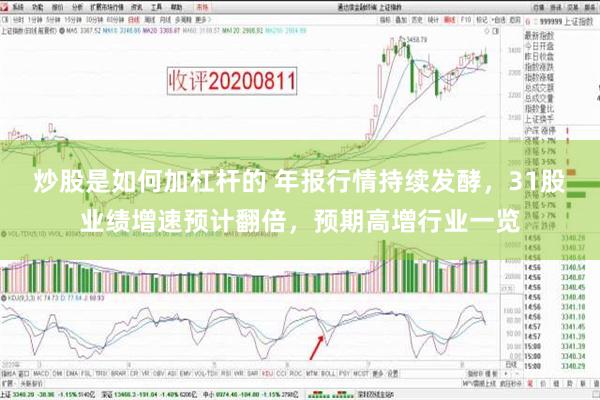 炒股是如何加杠杆的 年报行情持续发酵，31股业绩增速预计翻倍，预期高增行业一览